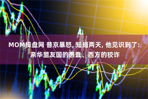 MOM操盘网 普京暴怒, 短短两天, 他见识到了: 亲华盟友国的愚蠢、西方的狡诈