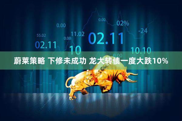 蔚莱策略 下修未成功 龙大转债一度大跌10%